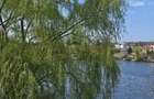 Ideal investitie Teren la lacul Balotesti - 2