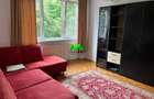 Apartament de inchiriat 2 camere Sibiu Cedonia Pet Friendly - 4