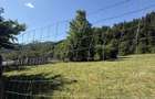 Vand teren de 3600m2 - 3