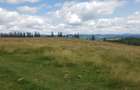 Vand 16 hectare de pasune - 1