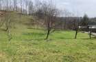 TEREN INTRAVILAN CU LIVADA | PRAHOVA| PROVITA DE SUS| BREAZA - 1