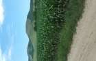 Pretabil Camping,Pensiune. Zona in Dezvoltare pe VIA DOBROGEANA ,care se leaga cu VIA TRANSILVANIA - 3