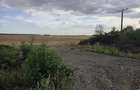 Vand teren agricol Deta Jud Timis