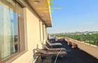 Penthouse - Baneasa - Privighetorilor - Iancu Nicolae - 13