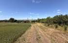 Teren 2.900 mp - 900 mp intravilan Jucu de Sus Panorama Investitie - 1