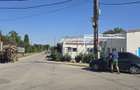 Teren intravilan 300 mp Darza, Crevedia, Dambovita 30.000 - 6