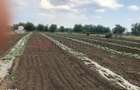 Ferma de vanzare | 3 ha | Intre Bucure?ti ?i Constan?a | Exploata?ie a - 2