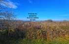 Teren intravilan 2.000 mp – Seciu, 2 deschideri, Priveliște panoramica - 5