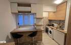 Inchiriez apartament 1 camera langa Gara Nicolina - 11