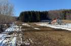 Teren intravilan 4521mp langa padure-valea Doftanei -Calea Brasovului - 11