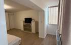 Apartament 1 camera Lugoj 50 mp renovat complet prima inchiriere - 5