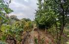 Casă 3 camere, teren 950 mp, gaz, canalizare – Steaua / Fratelia (Bujorilor) - 8