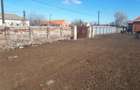 Vand teren in loc. Secusigiu 2900 mp,la sosea - 4