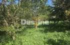 Casa Rustica  cu Gradina Valea Doftanei - 15