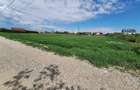 Teren intravilan 3177 mp, zona Serbanesti - 3