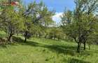 Teren intravilan 8330 mp de vanzare in Inuri Jud Alba