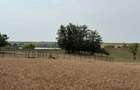 Teren intravilan Miersig, vedere la lac. 12,5 E/mp neg. Comision 0 - Miersig (Bihor) - 12