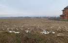Cedare concesiune teren 2.000 mp | Todire?ti (Parhau?i) - 9