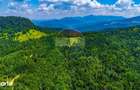 Refugiu in natura la Sacele | Teren 7.000 mp cu rau | Comision 0% - 13