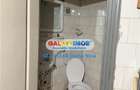 SPATIU COMERCIAL DE INCHIRIAT - 7