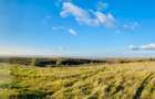RASOVA Cochirleni Teren extravilan 38 Hectare comasat 100%