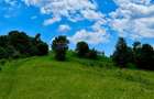 Terenuri extravilane de vanzare Cozieni, jud. Buzau - 7