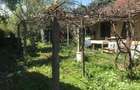 Vand teren in Fratelia 719 m2 cu casa veche pe teren. - 3