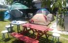 Un camping in inima Deltei - 7