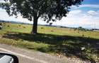 Teren extravilan 7500 mp Flore?ti | Acces DN | 18 m deschidere | Zona Paralela 45 - 3