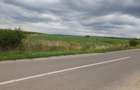Vand Teren pentru infiintare plantatie.