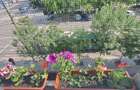 Vand Apartament Ultracentral - 7