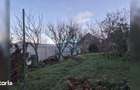 Casa pe un nivel, cu livada, la intrarea in Dezmir - 3