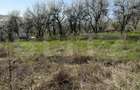 Teren intravilan in localitatea Criseni in suprafata de 2700 - 1