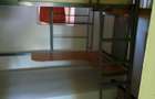 Casă cu 4 camere cu Teren 3400 Mp în Străoane - 2