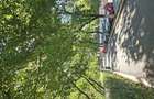 Apartament 3 camere decomandat | Bd. Gheorghe ?incai nr. 14 | Etaj 2 8 | Loc de parcare | 209.000 - 5