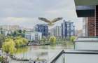 Apartament modern situat in Park Lake/Iulius Mall Cluj - 15