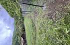Se vinde teren intravilan 580m - 5