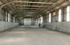 Teren 4,7 ha | Hala 770 mp | Cartojani, Giurgiu | Acces TIR - 2