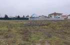 Catelu | Teren 5000MP | Intravilan | 15 Minute Metrou | OPORTUNITATE - 3
