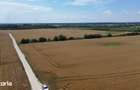 Ciolpani-Ilfov, Teren intravilan-20 ha - 3