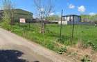 Palazu Mare teren 980 mp intravilan Strada Tache Ionescu 17 - 2