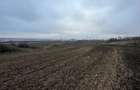 Teren Dorohoi - 23000 mp - Sau - Parcele 1000mp, 900mp, 1500mp, etc.