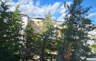 Apartament cu 2 camere de inchiriat in zona Precista - 4