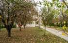 Vilă de excepție în Săftica, Balotești — proprietate cu chiriaș existent - 7