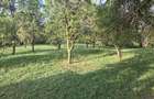Proprietar vand 5524 mp teren intravilan in Comarnic, str.Poiana 185 -oferta excelenta pe axa Buc-BV - 7