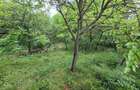 Casa in Telega----28.000e - 7