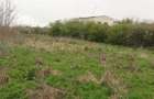 Teren intravilan arabil 3846 mp, Topraisar.Zona buna,sub pretul pietei - 5
