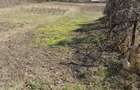 Vand teren intravilan- zona buna - 2
