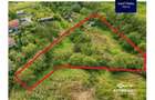Teren 5.144 mp in Aurel Vlaicu, Sighi?oara excelent pt investi?ii - 10