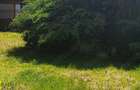 Inchiriez apartament in vila curte Rm Valcea Centru vis-a-vis de parcul Zavoi. - 5